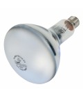 Ampoule ProSun Mixed D3 Lampe UV-B 160 WATT - Ref: 76026 - TRIXIE
