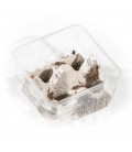 Pack éco de 10 boites grillons domestiques vivants subadultes T7 - Image 3