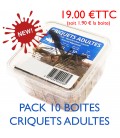 Pack Eco de 10 Boites de 10 criquets migrateurs adultes - spécial reptiles adultes