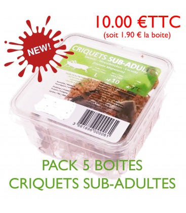 Pack Eco de 5 Boites de 10 criquets migrateurs subadultes pour reptiles moyens et adultes - La Ferme aux Insectes.