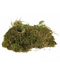 Mousse pour terrarium, substrat pour terrarium humide 200gr trixie