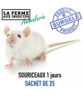 sachet ecopack de 25 souriceaux pour serpent et reptile