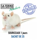 Pack souriceaux