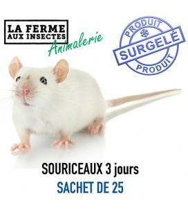 Ecopack de 25 Souriceaux 3 Jours Congelés – Nourriture pour Reptiles