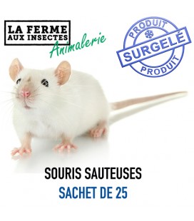 Souris Sauteuses Surgelées 11-15g (x25) - La Ferme aux Insectes