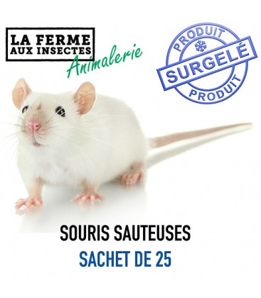Sachet de 25 souris sauteuses surgelées 11-15g pour reptiles et NAC
