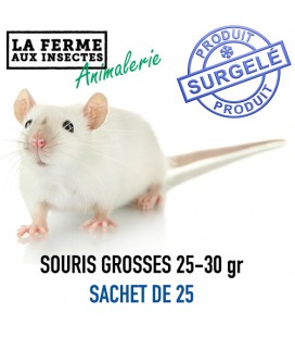 Ecopack Souris Grosses (25-35g) - Lot de 25 | Alimentation Reptile