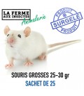 Ecopack Souris Grosses (25-35g) - Lot de 25 | Alimentation Reptile