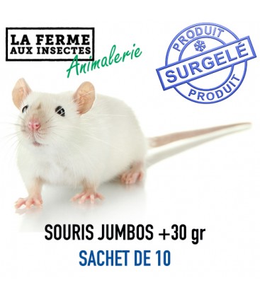 Sachet Ecopack de 10 souris congelées Jumbo de 31g et plus pour grands reptiles