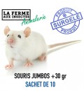 Sachet Ecopack de 10 souris congelées Jumbo de 31g et plus pour grands reptiles