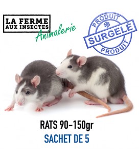 Rats Congelés (90-150g) - Sachet de 5 | Alimentation Reptile