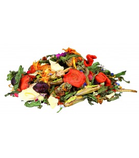 Mélange d'aliments naturels pour dragons barbus - 100g - Trixie - ref 76265
