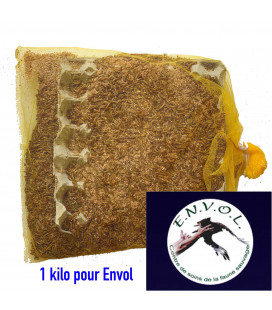 Don 1 kilo de vers de farine Pour l'association ENVOL