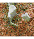 Gros plan sur les vers de farine vivants riches en protéines pour volailles et reptiles