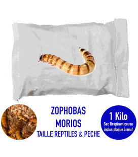 morios zophobas morios 1 kilo pour reptile et pêche