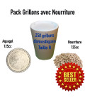 Pack grillons : 250 GRILLONS T8 XL + 1 Aquagel 125cc + 1 pot nourriture Grillons 125cc