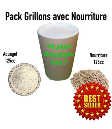 Pack Grillons Domestiques Vivants T7 pour Reptiles