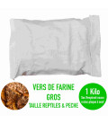 Gros vers de farine vivants pour la pêche et la terrariophilie - Boîte de 1 kilo