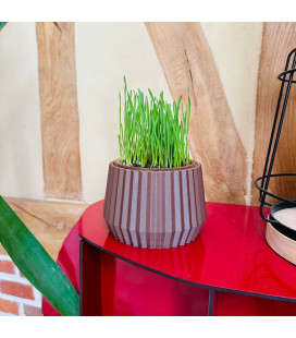 Cache Pot pour Herbe à Chat, Herbe à Criquet et Petites Plantes – Fabriqué en Picardie