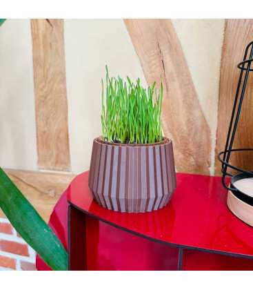 Pots Design pour herbe à chat disponibles en plusieurs couleurs