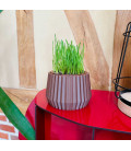 Pots Design pour herbe à chat disponibles en plusieurs couleurs