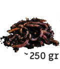 Vers Terre Nourriture Poule - barquette de 250gr