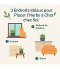 Pot Design 3D pour herbe à chat fabriqué en Picardie