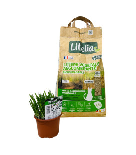 Pack Bien être chat et Chaton - Litiere Végétale Agglomerante + Herbe à chat