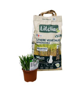 Pack Bien être chat et Chaton - Litiere Végétale Miscanthus + Herbe à Chat