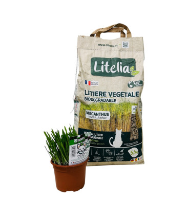 Pack Bien être chat et Chaton - Litiere Végétale Miscanthus + Herbe à Chat