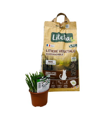 Pack Bien Etre Chat et Chaton - Litière Végétale Granulés Bois + Herbe à chat Eco-responsable