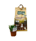Pack Bien Etre Chat et Chaton - Litière Végétale Granulés Bois + Herbe à chat Eco-responsable