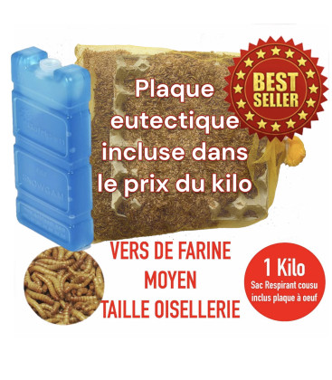 Boîte de 1 kg de vers de farine vivants Tenebrio molitor pour alimentation poules et oiseaux