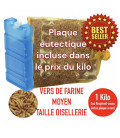 Vers de Farine Vivants pour Poules : L'Aliment Naturel Idéal - 1 kg
