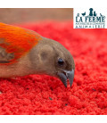 Birdfood Patée Elevage Rouge Gras