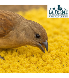 Pâtée Elevage Oiseaux Granivores Jaune Gras - Birdfood