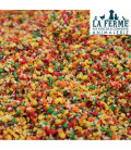 Patée Elevage Oiseaux au fruits Confits
