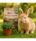 Pack Bien Etre Rongeurs - Foin des Montagnes + Callisia Repens