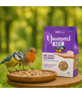 Graines Oiseaux - Yummi mix - Mélange gourmet - pour Oiseaux du Ciel