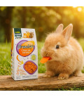 Friandise hamster à la carottes