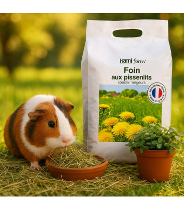 pack Bien Etre Rongeurs - Foin de pissenlits + Callisia Repens