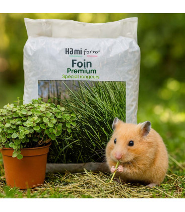 Pack Bien-Etre Rongeurs - Foin Premium + Callisia Repens