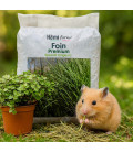 Pack Bien-Etre Rongeurs - Foin Premium + Callisia Repens