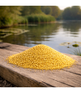 Graine de Millet Jaune pour Oiseaux