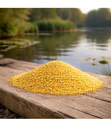 Graine de Millet Jaune pour Oiseaux
