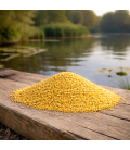 Graine de Millet Jaune pour Oiseaux
