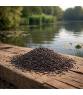 Graine de Niger pour oiseaux