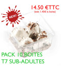 Pack éco de 10 boites grillons domestiques vivants subadultes T7