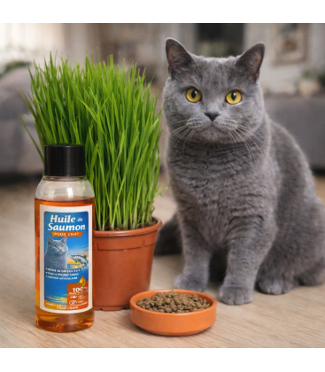 Kit Bien-Être Chat : Huile de Saumon 125 ml + Herbe à Chat Poussée (Germes de Blé)