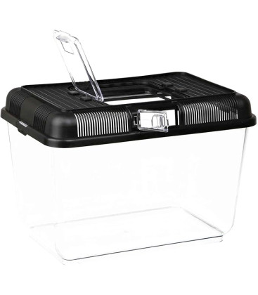 Boîte alimentaire et de transport 31*21*21